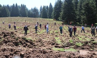 Hayvan otlattıkları meraları iş makinesiyle tahrip edilen köylüler nöbet tutuyor