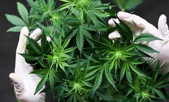 Hint keneviri eken sanığa hapis cezası