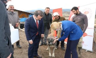 İl Tarım ve Orman Müdürlüğü Parazite karşı savaş açtı 