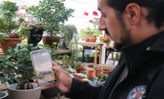 Isırdığında öldüren yılan türü Bolu’da görüntülendi