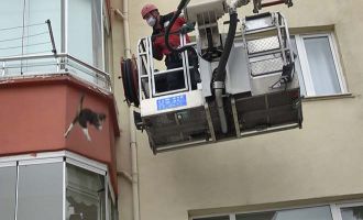 İtfaiyenin kurtarmaya çalıştığı kedi 3’üncü kattan 'dört ayak' üzerine düştü