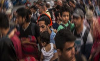 Jandarma düzensiz göçmen operasyonu yaptı