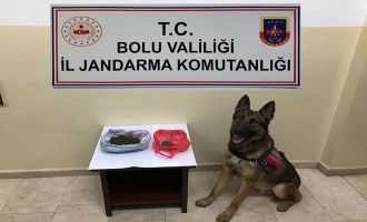 Kaçak sigara ve uyuşturucu operasyonu: 4 gözaltı