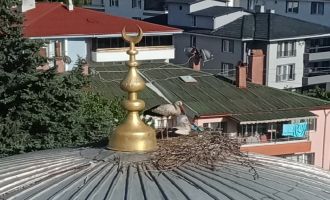 Kafasına poşet takılan leyleğin yardımına ekipler yetişti..