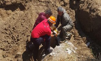 Kanalizasyona düşerek akıntıya kapılan keçi ve koyun itfaiye tarafından kurtarıldı