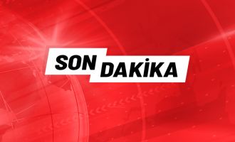 Kestiği ağacın altında kalan adam hayatını kaybetti........