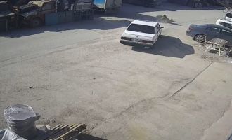 Köpeği ezen sürücü serbest bırakıldı…..