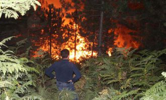 Orman yangını 5 saatte kontrol altına alındı