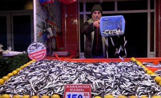 Ramazan'ın son günlerinde balığa ilgi azaldı, fiyatlar düştü
