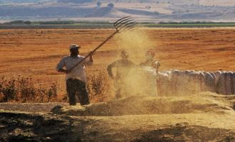 Tarımsal girdi fiyat endeksi bir yılda yüzde 112,41 arttı
