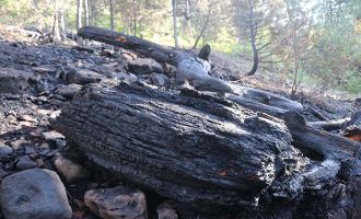 Yangının verdiği tahribat tüm yönleriyle ortaya çıktı 