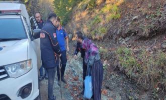 Yeğeniyle mantar toplamaya giden yaşlı kadın ormanda kayboldu..