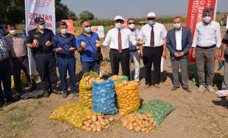 'Yerli Ve Milli Patates Çeşitleri”'Tarla Günü Düzenlendi