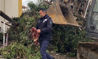 Yıkılan binadan bayrağı kurtaran zabıta personeli: ‘Gönlüm el vermedi’