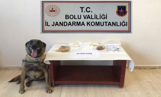 Yolcu otobüsünde 360 gram kokain yakalandı