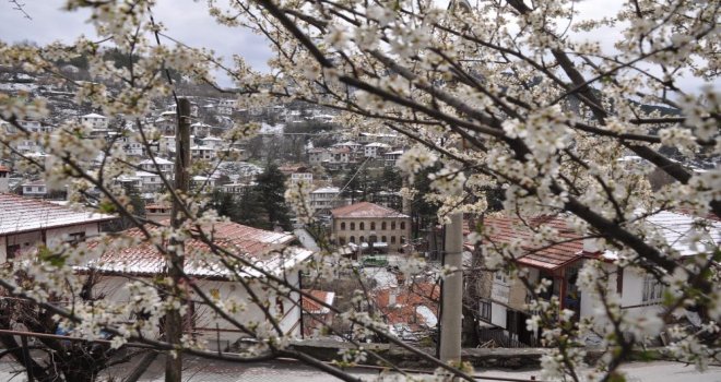 Tarihi Osmanlı kasabasında bahar havası yaşanıyor