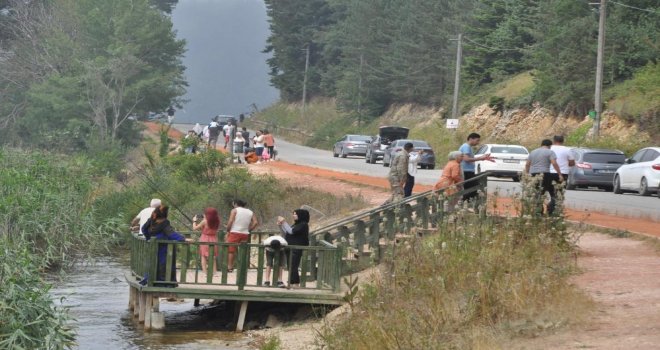 Türkiye sıcaktan kavrulurken tatilciler Abant’ta serinliyor