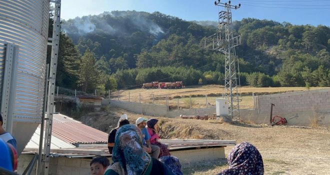 Vatandaşlar gece gündüz tetikte: Korkudan uyuyamıyorlar