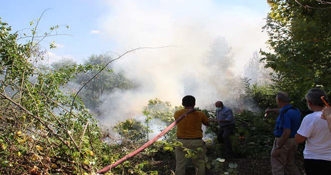 Yangın’ı söndürmek için Bolu Orman İşletme Müdürlüğü arazözleri uzun uğraş verdi