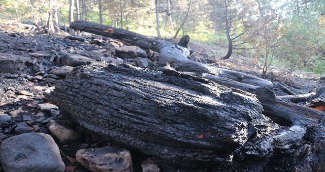 Yangının verdiği tahribat tüm yönleriyle ortaya çıktı 