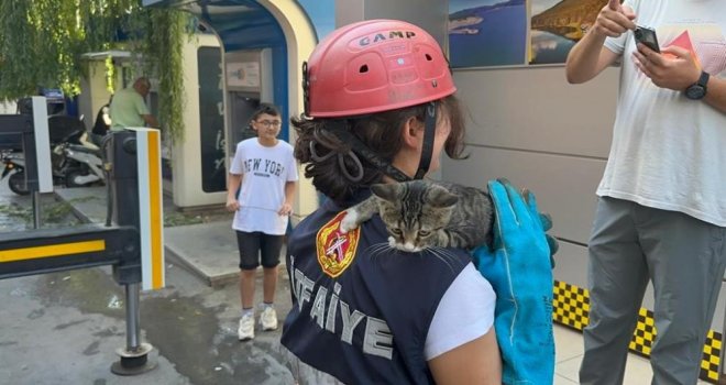 Yüksekten korkan kedi, itfaiyenin omzunu bırakmadı