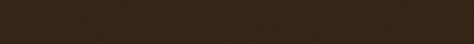 970x50